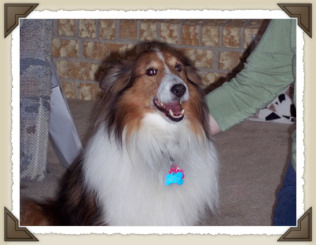hssiprince_feb27_2005_framed_small.jpg