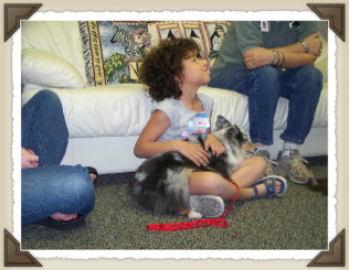 misty_mouse_therapy_work_wtih_cgp_program_framed.jpg