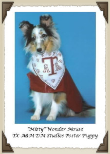“Misty Mouse” 04/15/1997 – 02/06/2008