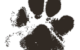 Paw Print